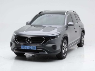 EQB (X243) EQB 300 4MATIC 일렉트릭 아트